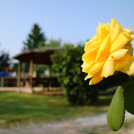 Agriturismo Ai Vigneti 폰티술민치오 외부 사진