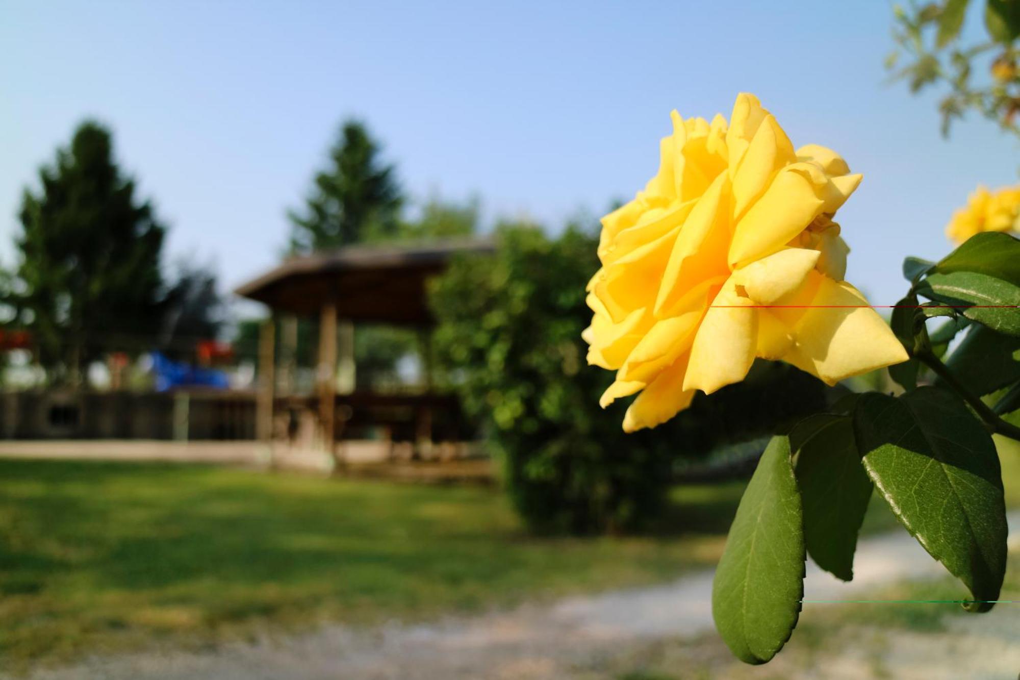 Agriturismo Ai Vigneti 폰티술민치오 외부 사진